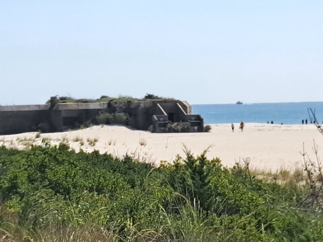 Cape May Point State Park景点图片