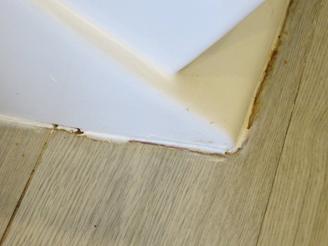 BelleVue Belsana主图