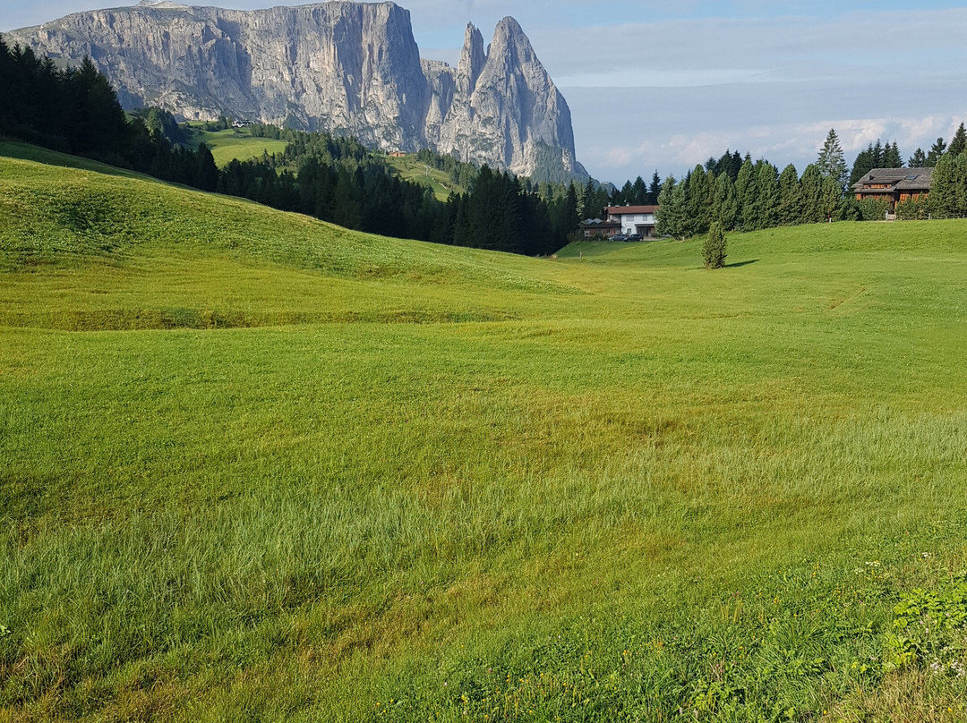 Artnatur Dolomites Hotel & Spa主图
