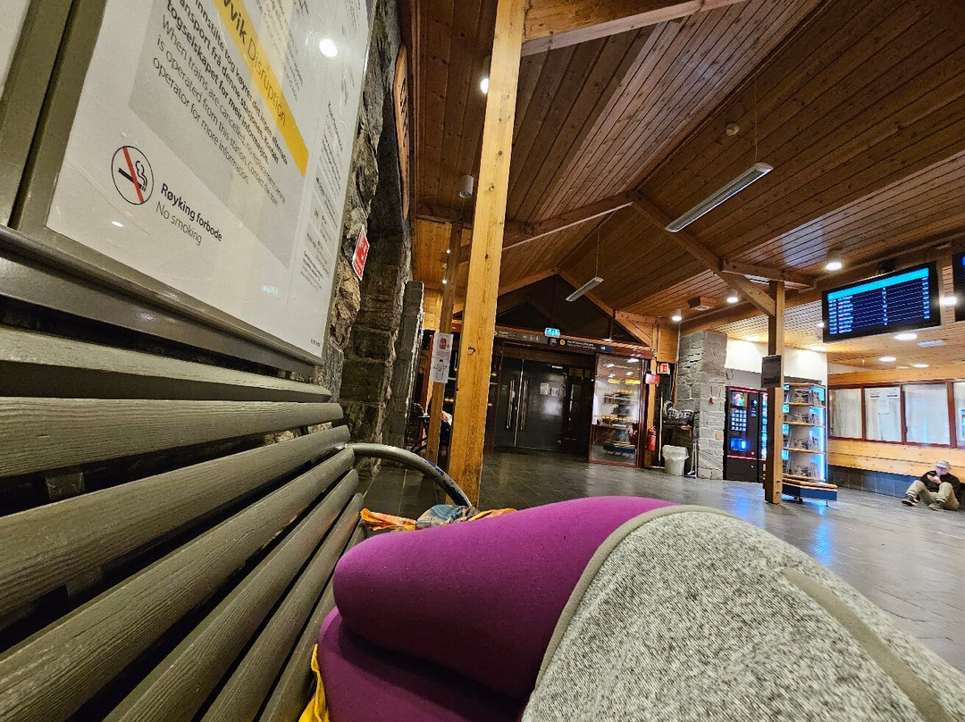 Myrdal Station-米达尔必去景点