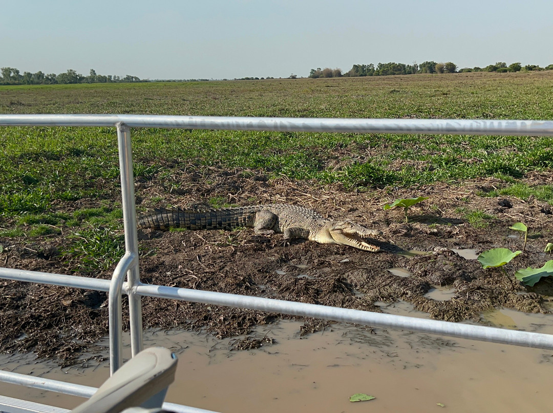 Wildlands Wetlands Safari Cruises-达尔文市必去景点