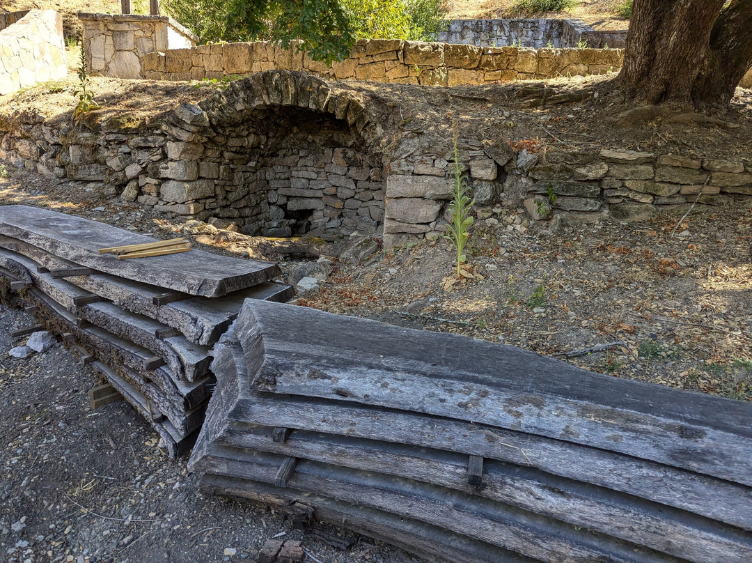 Valet of the Moon Wine Tours-索诺玛必去景点