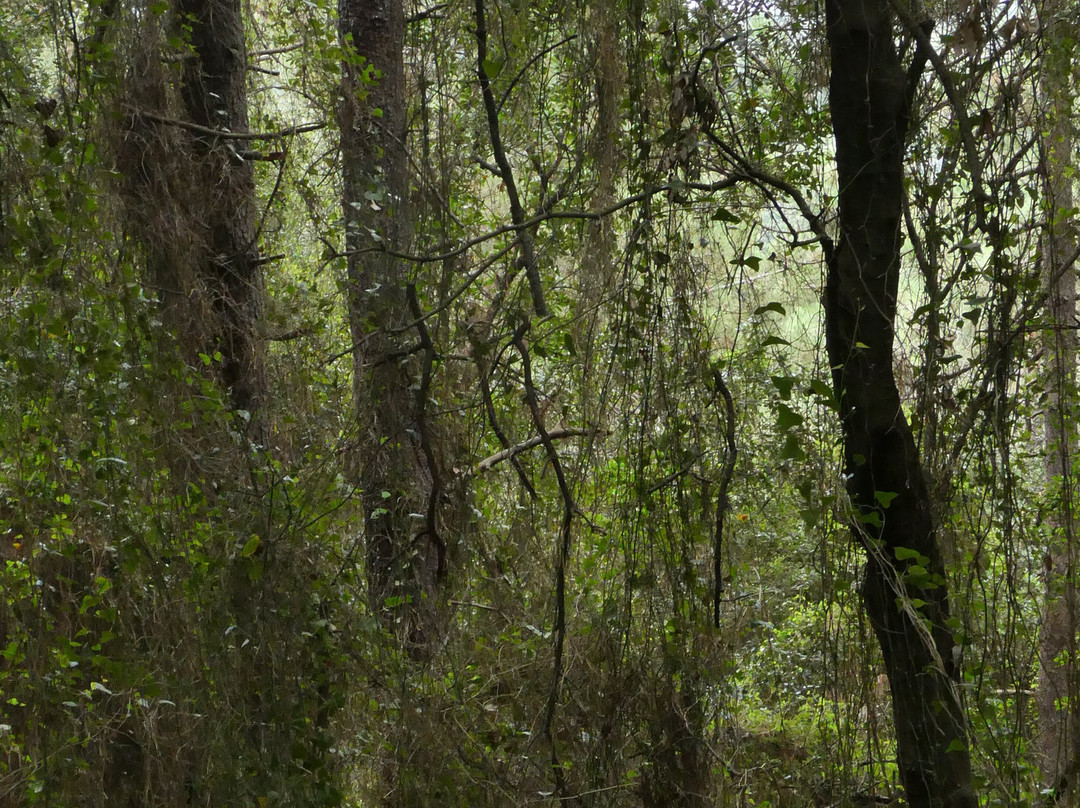 Faro Gorliz-Gorliz必去景点