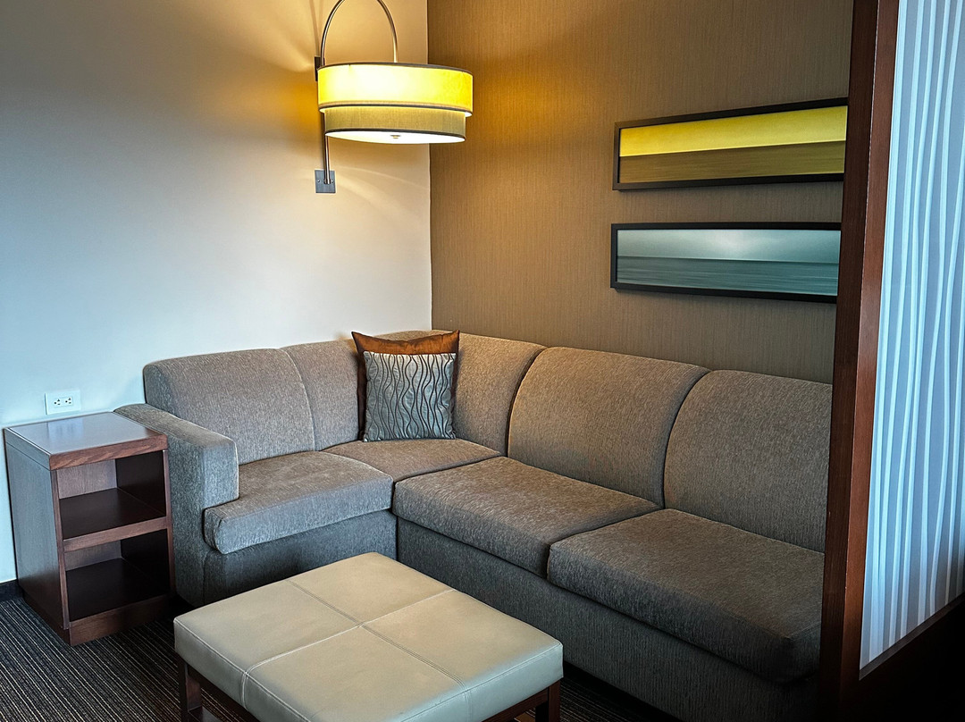 圣何塞皮纳雷斯凯悦广场酒店主图