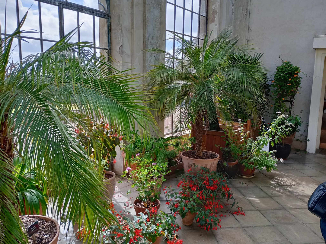 National Trust Trelissick House And Gardens-Feock必去景点