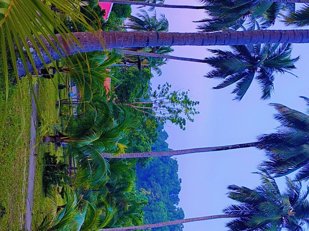 Fort Holidays Andamans-布莱尔港必去景点