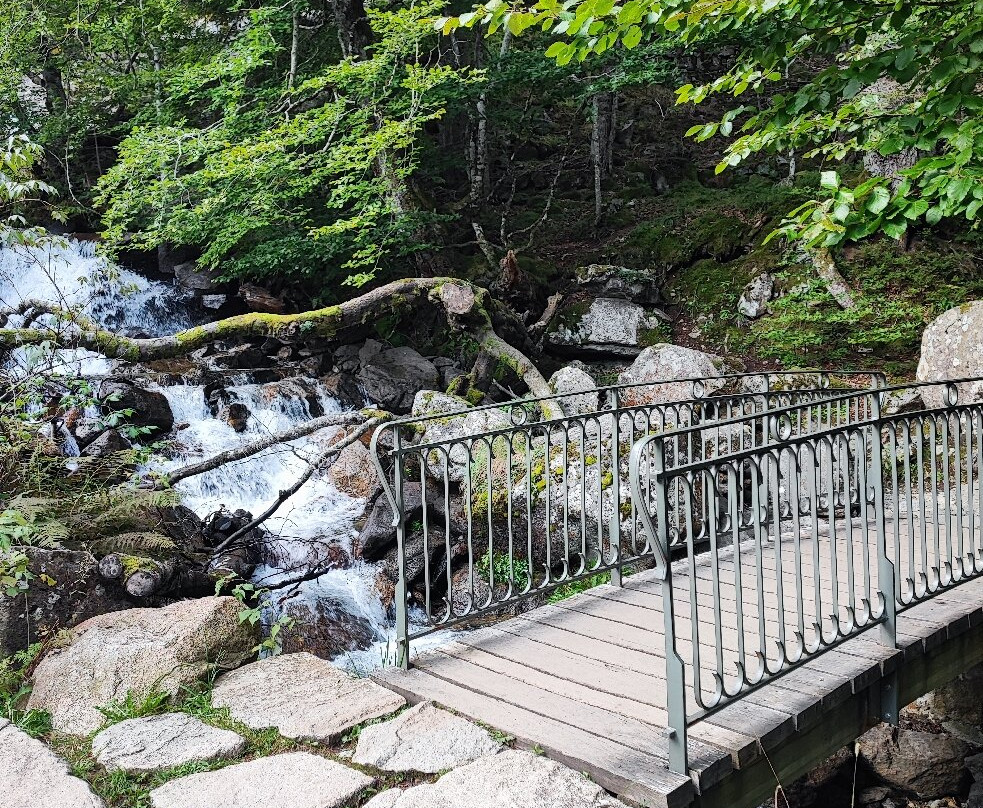 Pont d'Espagne-Cauterets必去景点