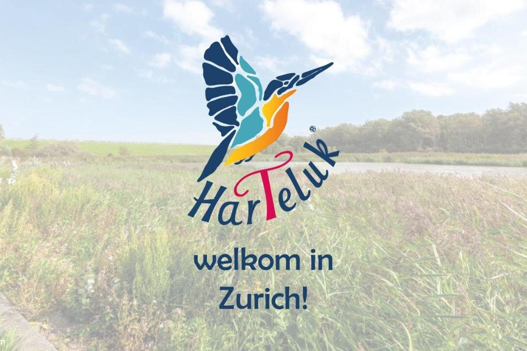Haje Afsluitdijk Zurich主图