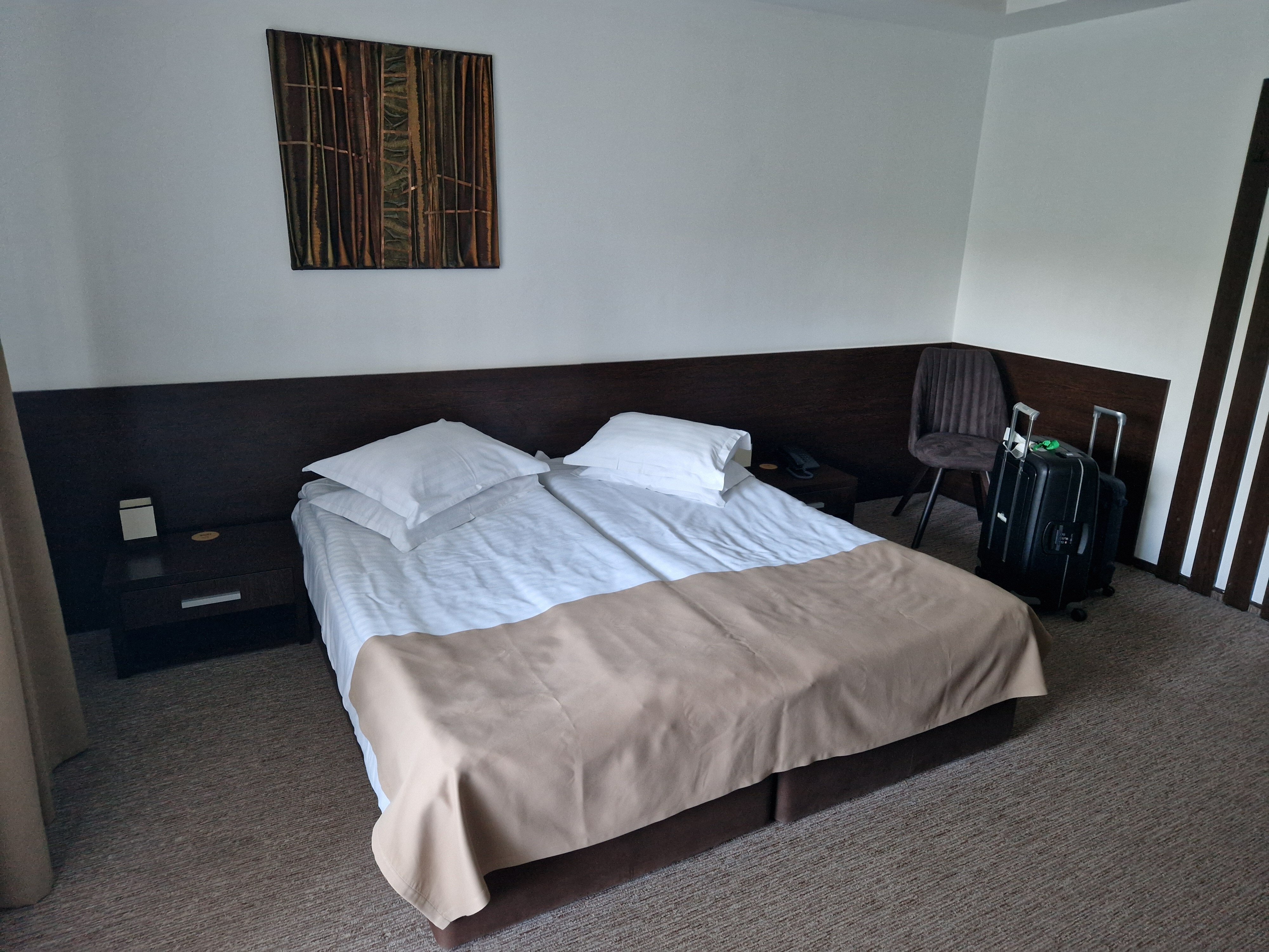 Smart Hotel-客卧