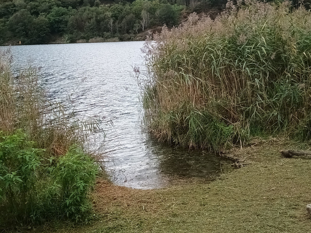 Lago di Mergozzo景点图片