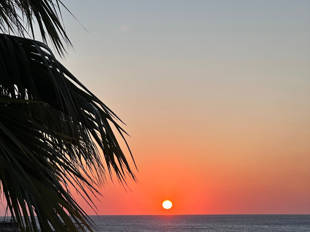 Port Bonaire Residencia主图