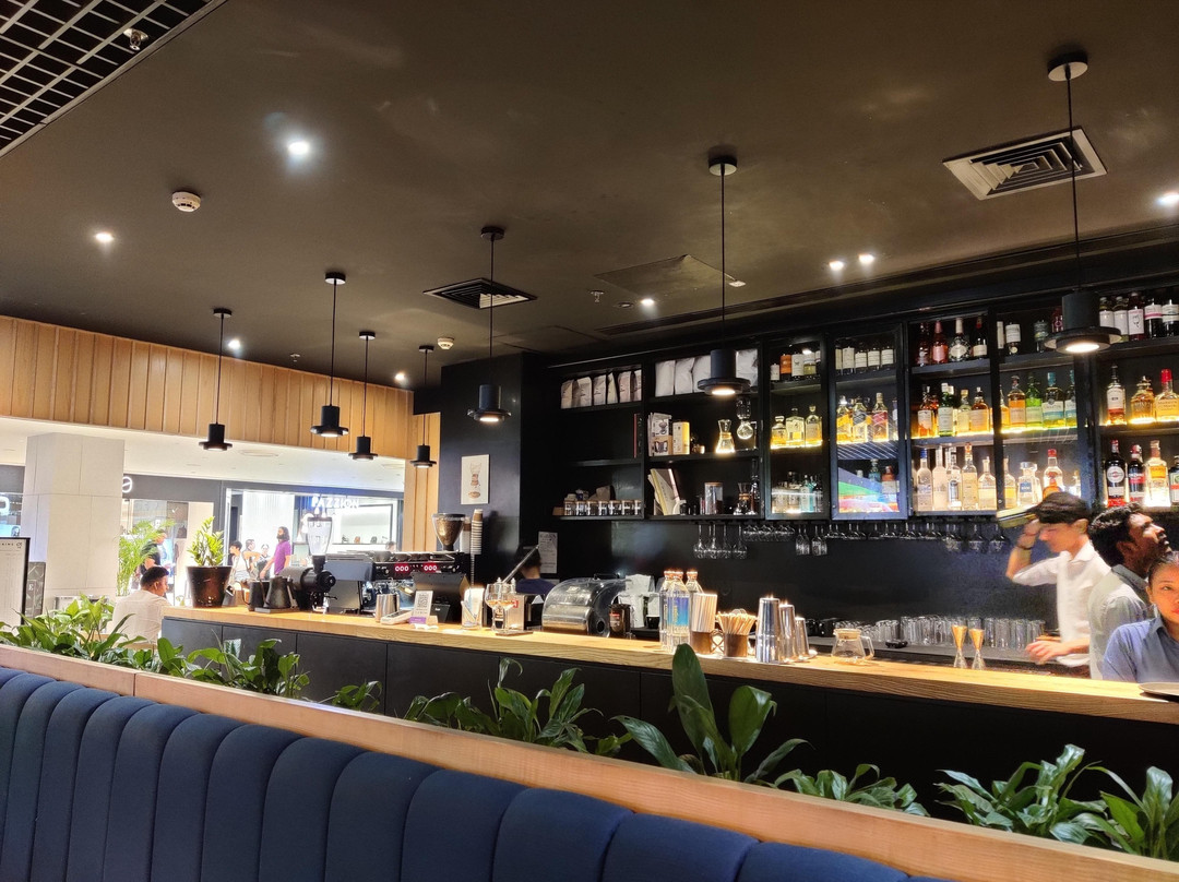 Perch Wine & Coffee Bar