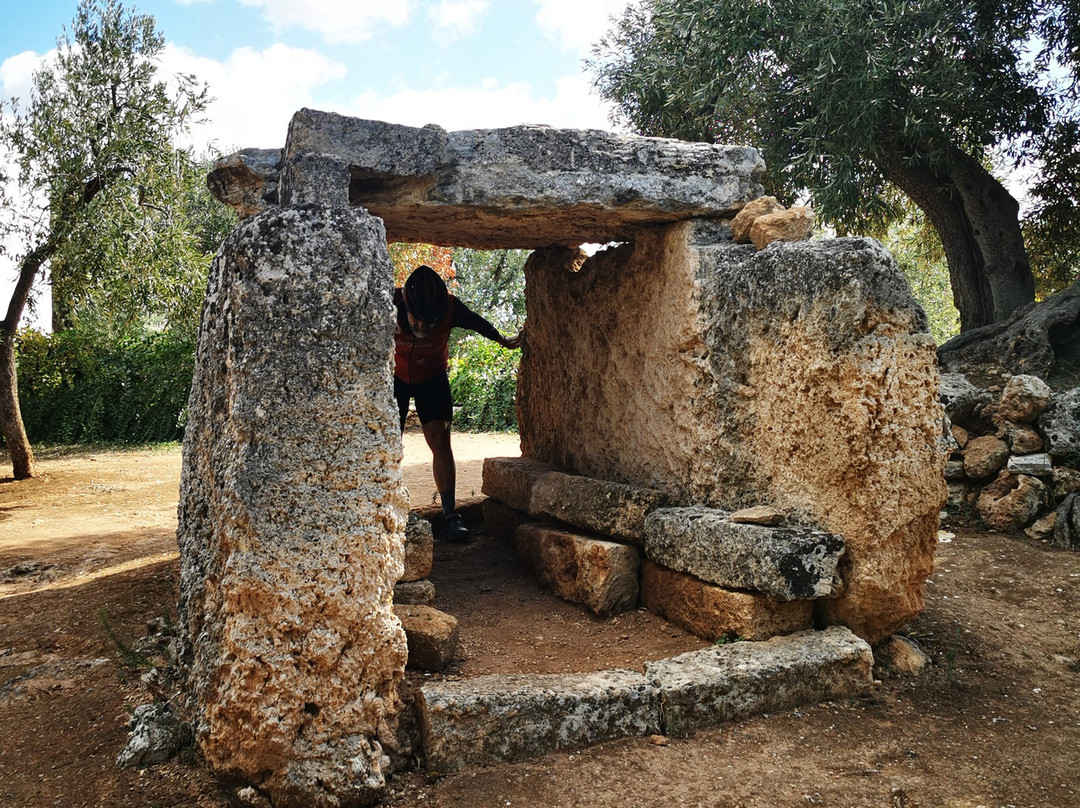 Dolmen di Montalbano景点图片