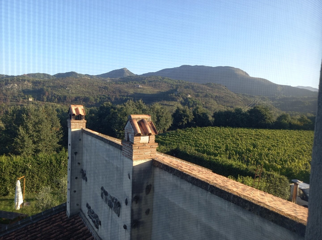 Country House Le Vigne B&B主图