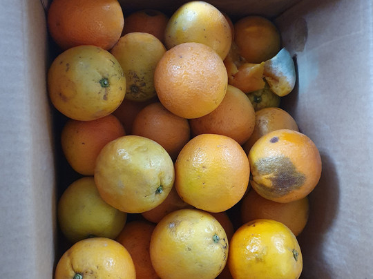 Fet a Soller Oficinas-索耶尔必去景点