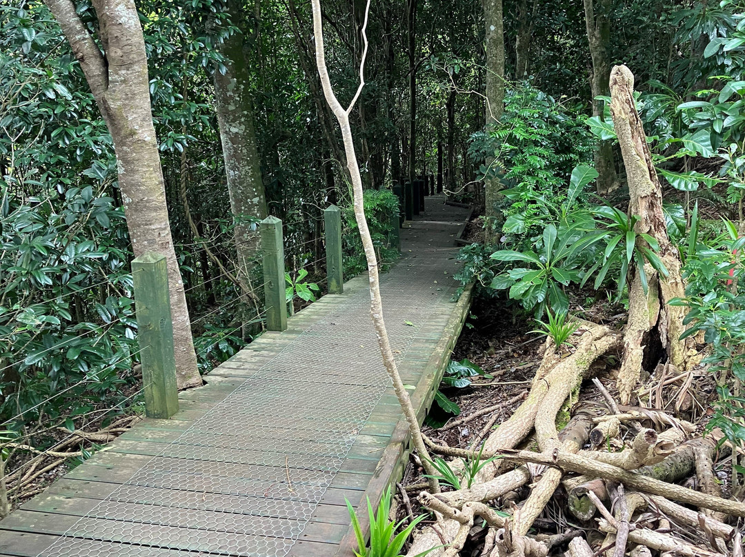 Norfolk Island National Park & Botanic Garden景点图片