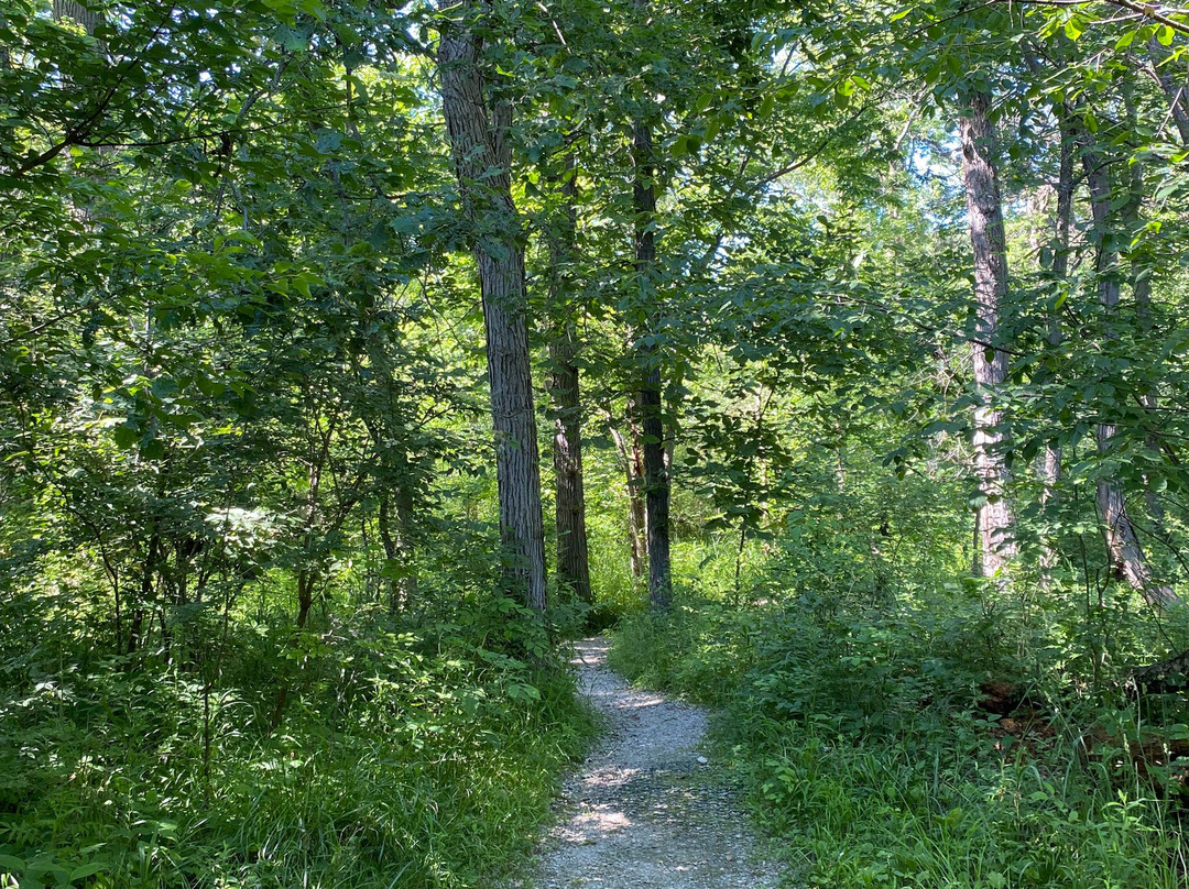 Sheldon Marsh State Nature Preserve-Huron必去景点