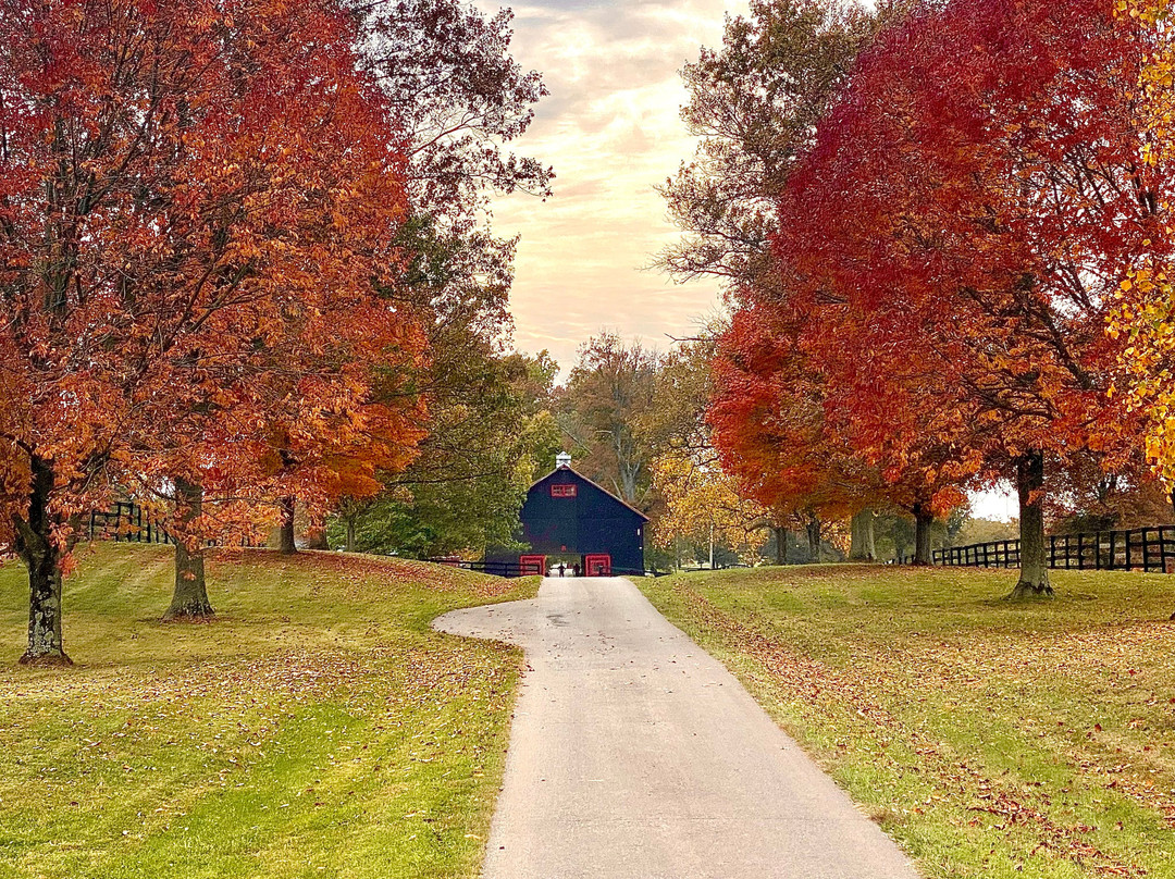 Charlestown旅游景点-Hermitage Farm