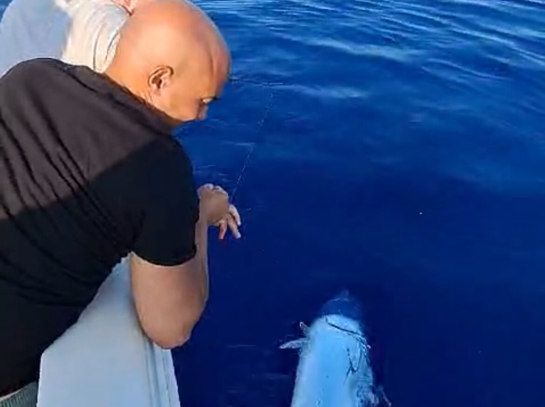 Mister Fish Fishing Charter Malta景点图片