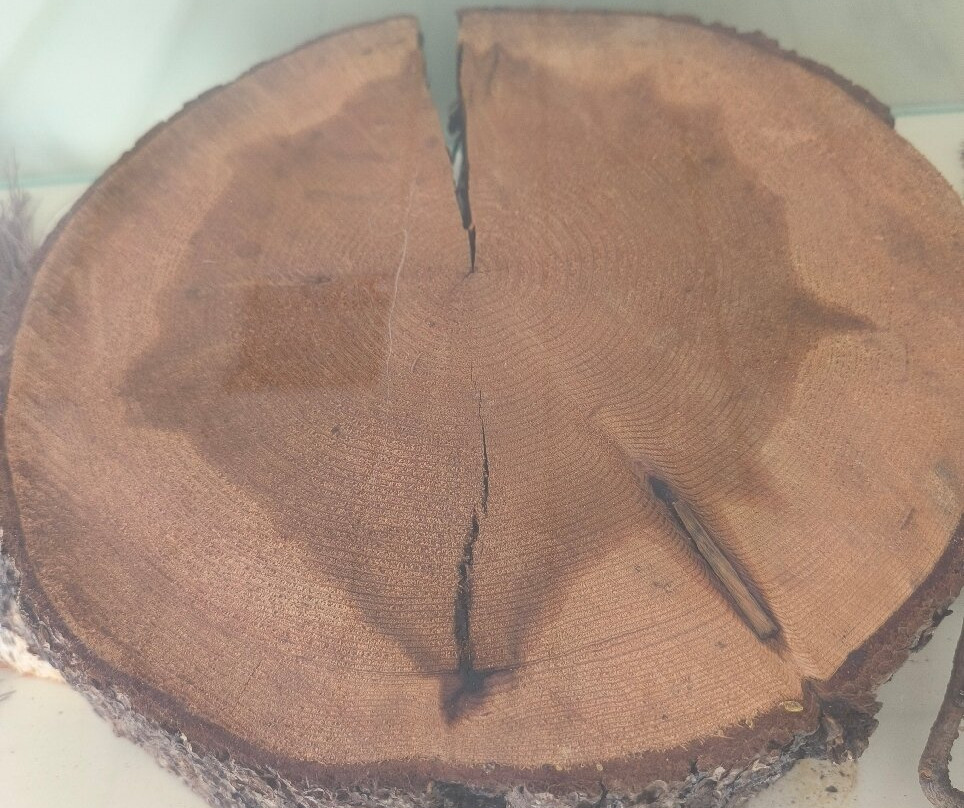 Centre Culturel d'Azrou-Azrou必去景点