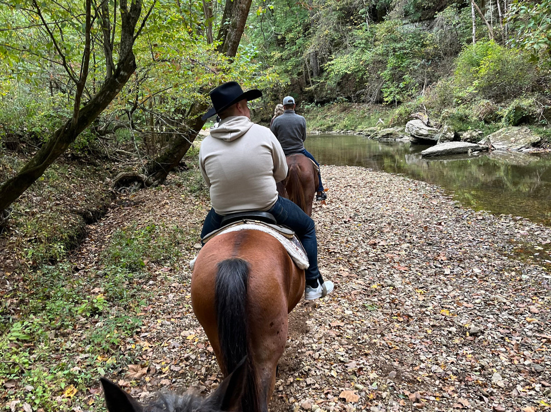 Natchez Trace Stables-Primm Springs必去景点