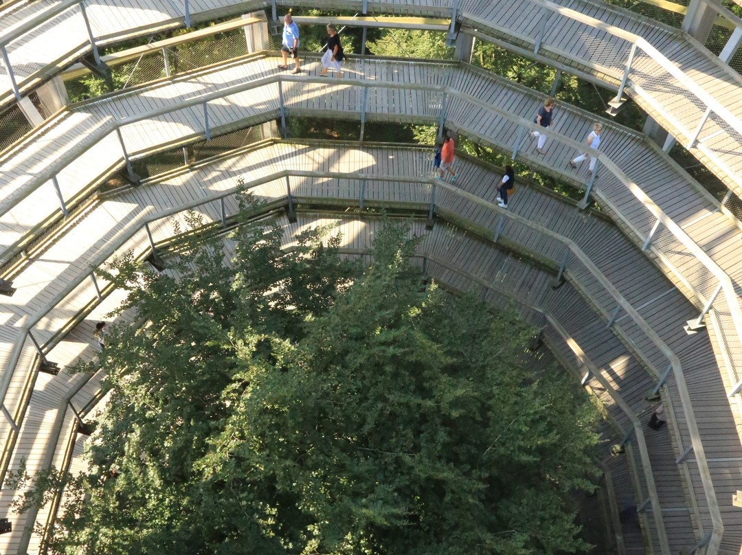 Baumwipfelpfad im Naturerbe Zentrum Rügen景点图片