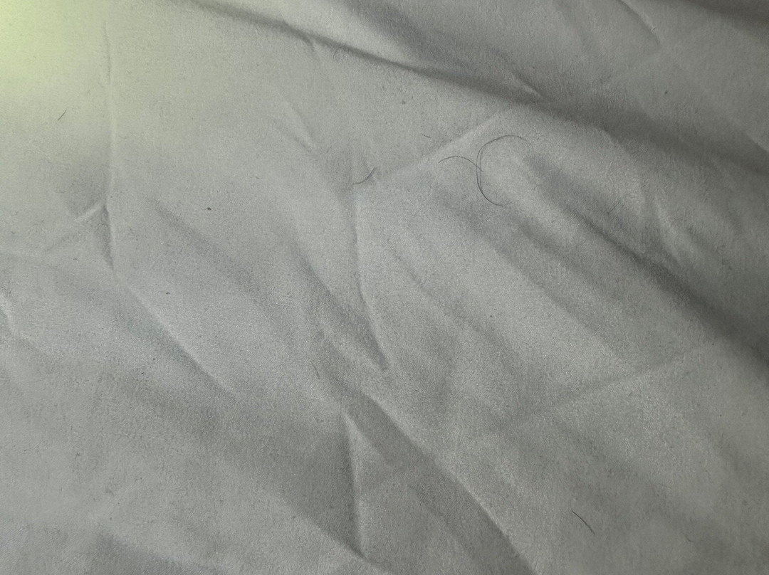 Timberland Inn主图