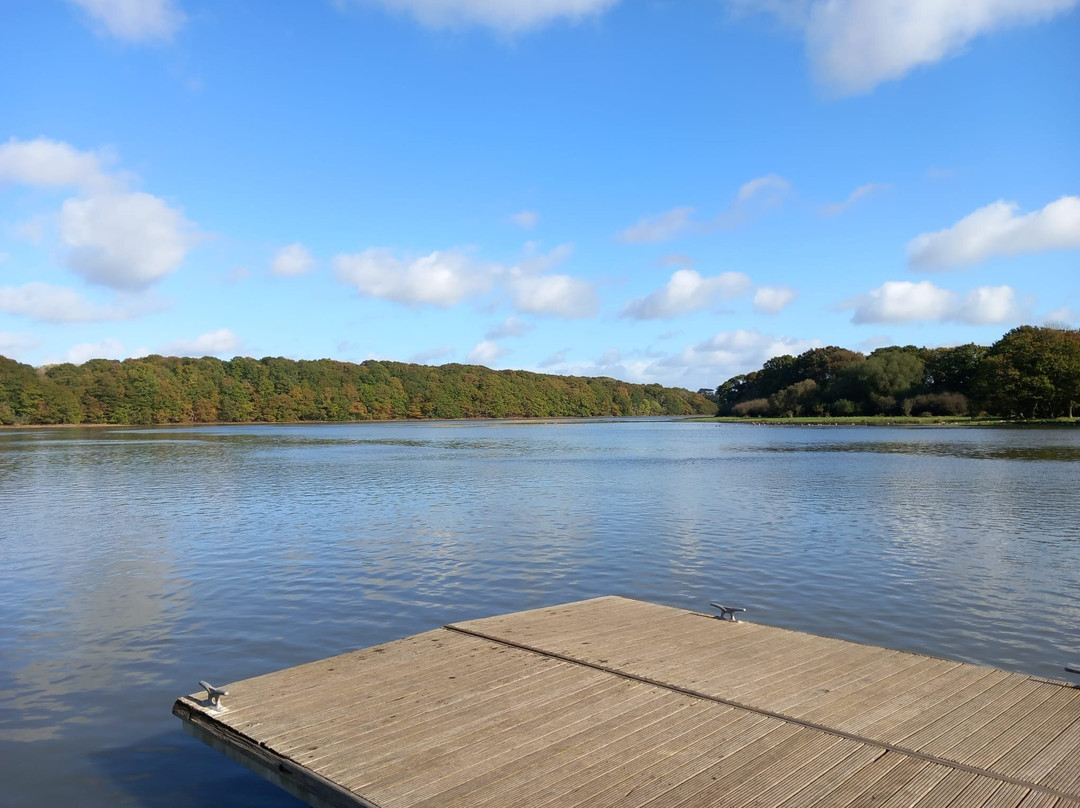 River Hamble Country Park景点图片