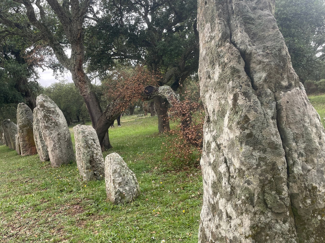 Necropolis of Pranu Muttedu-Goni必去景点