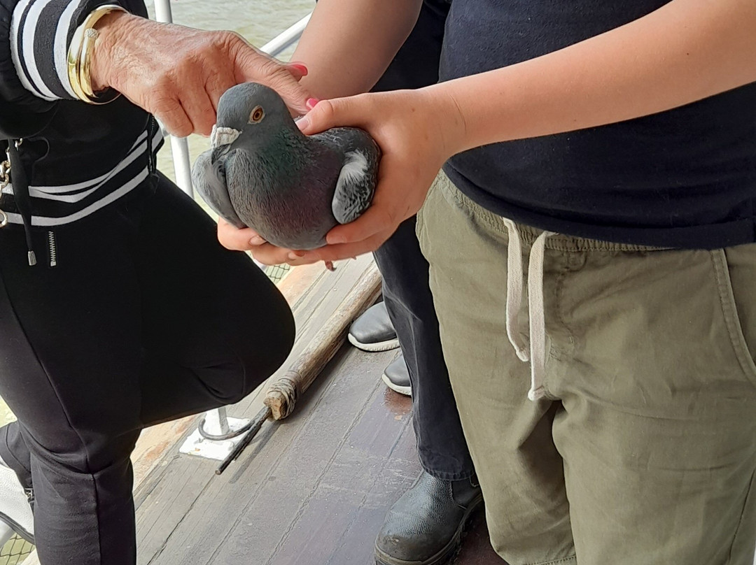 Paddle Steamer Waimarie-旺加努伊必去景点