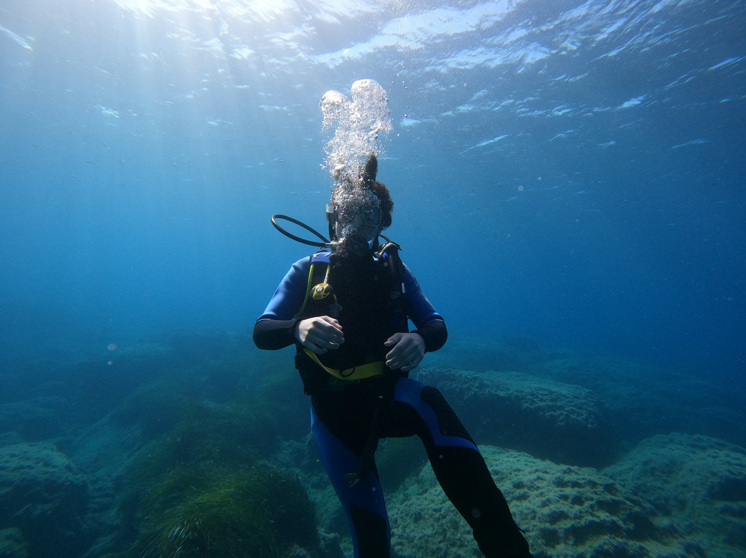Abyss Dive Center-帕福斯必去景点