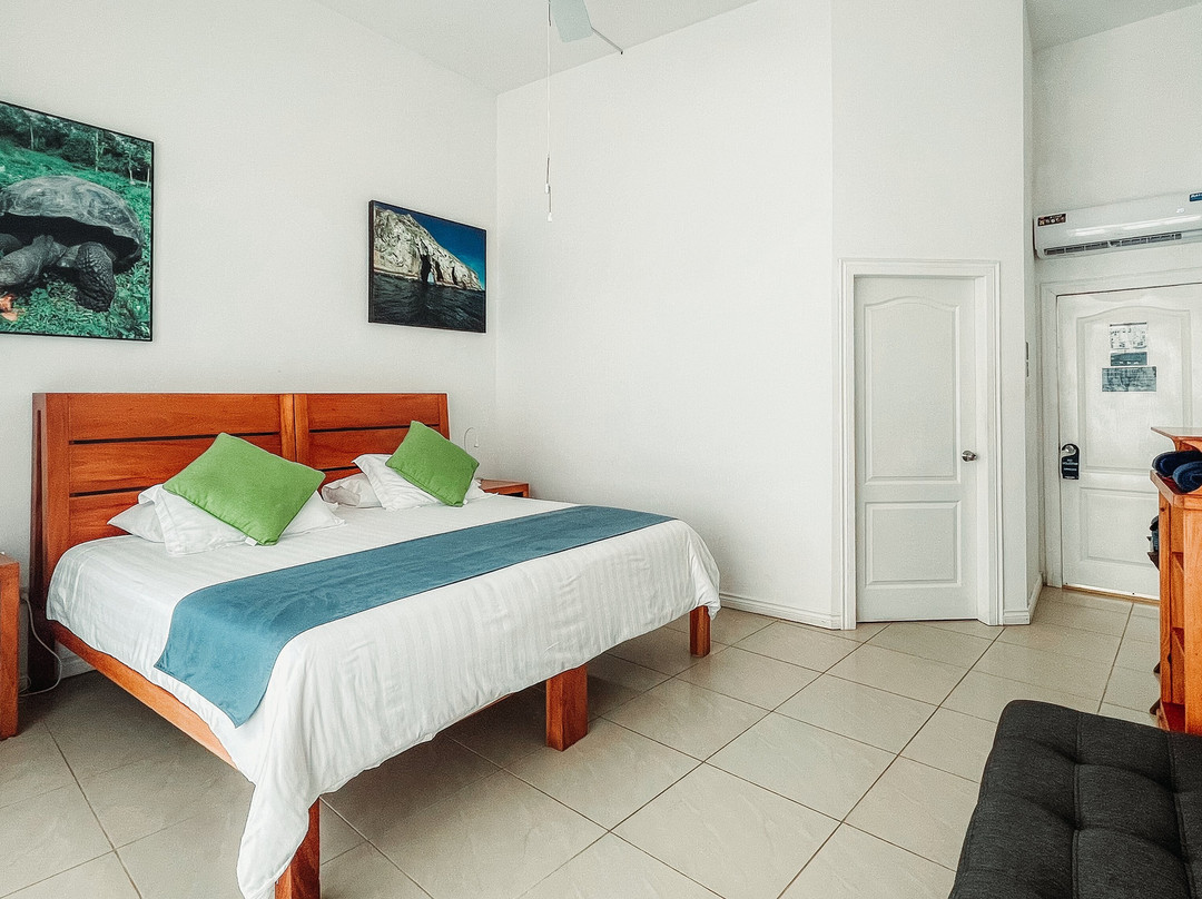 Hotel Albemarle主图