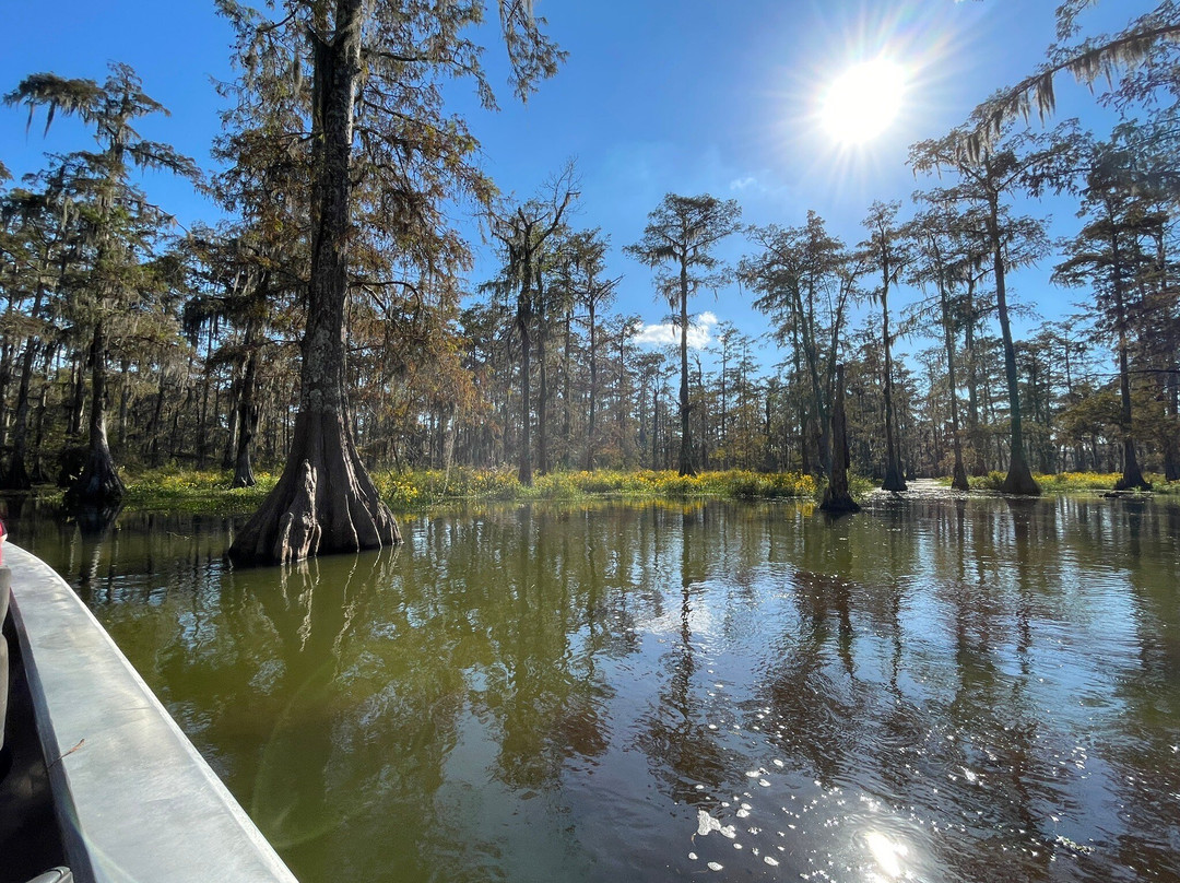Cajun Country Swamp Tours景点图片
