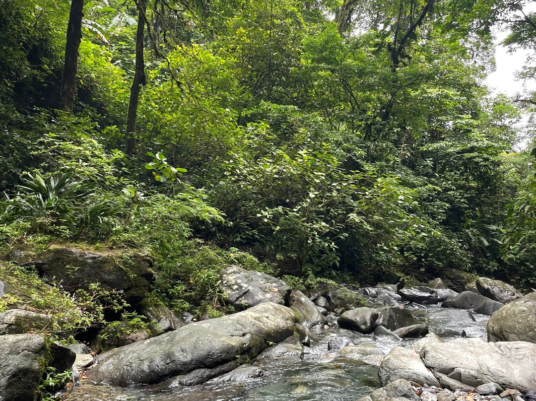 Coffee Mountain EcoTours景点图片