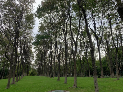 闵行体育公园-上海市必去景点