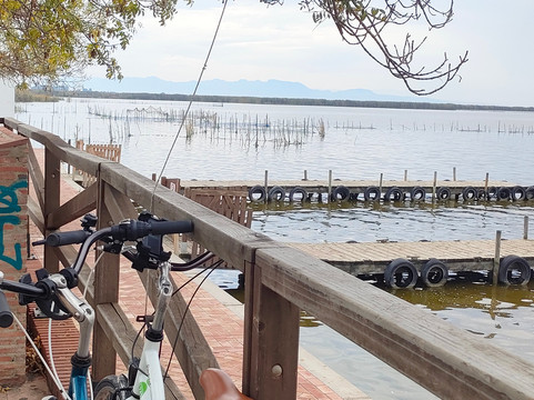 Low Cost Bike Rental-巴伦西亚必去景点