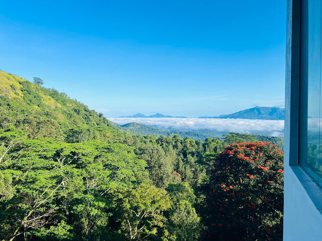 Bellwood Hills Resort & Spa主图