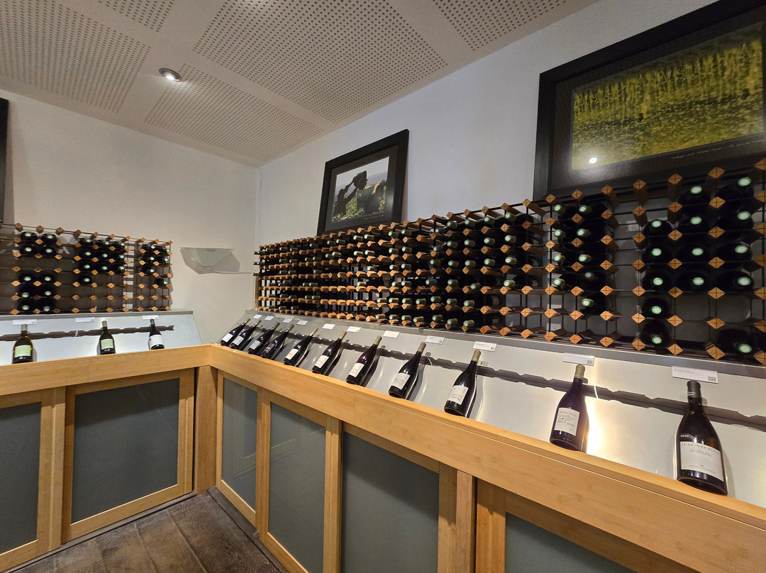 Domaine Famille Picard-Chassagne-Montrachet必去景点