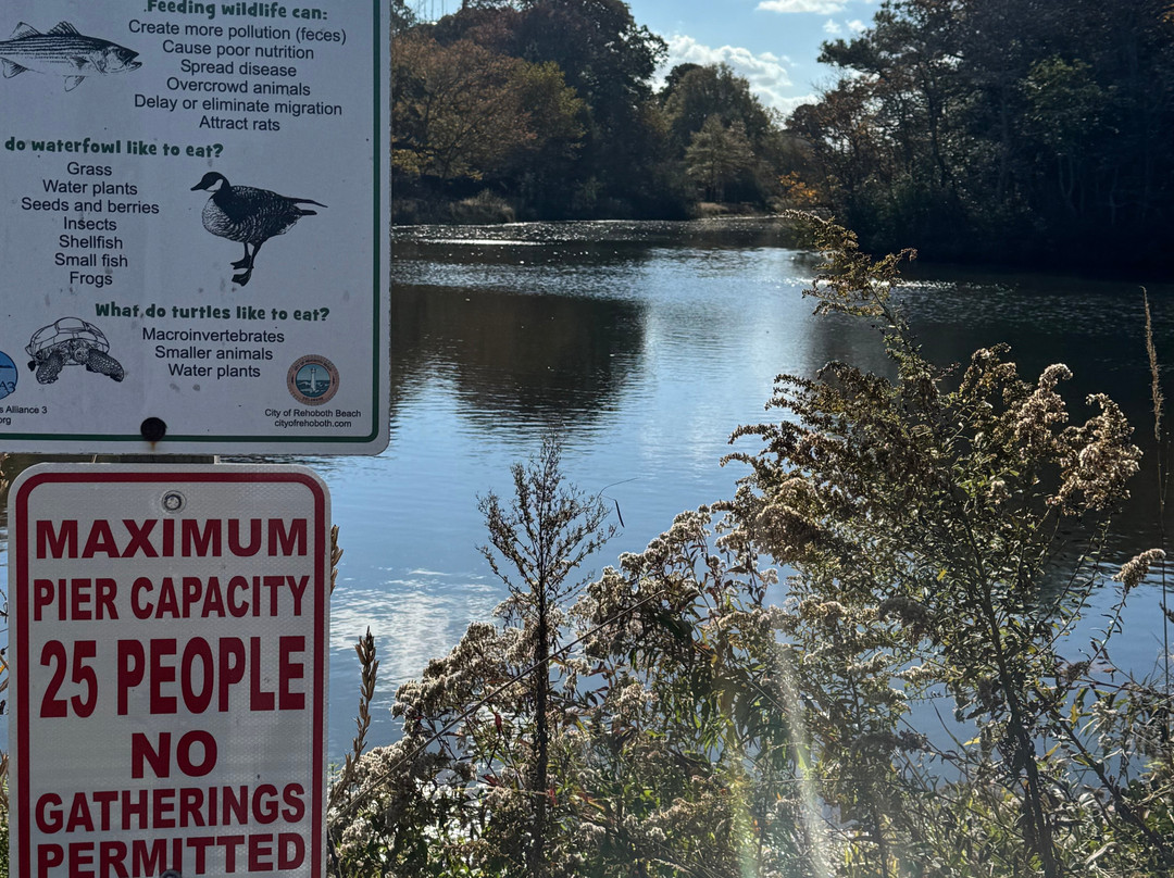 Lake Gerar Tot Lot-里霍博斯比奇必去景点