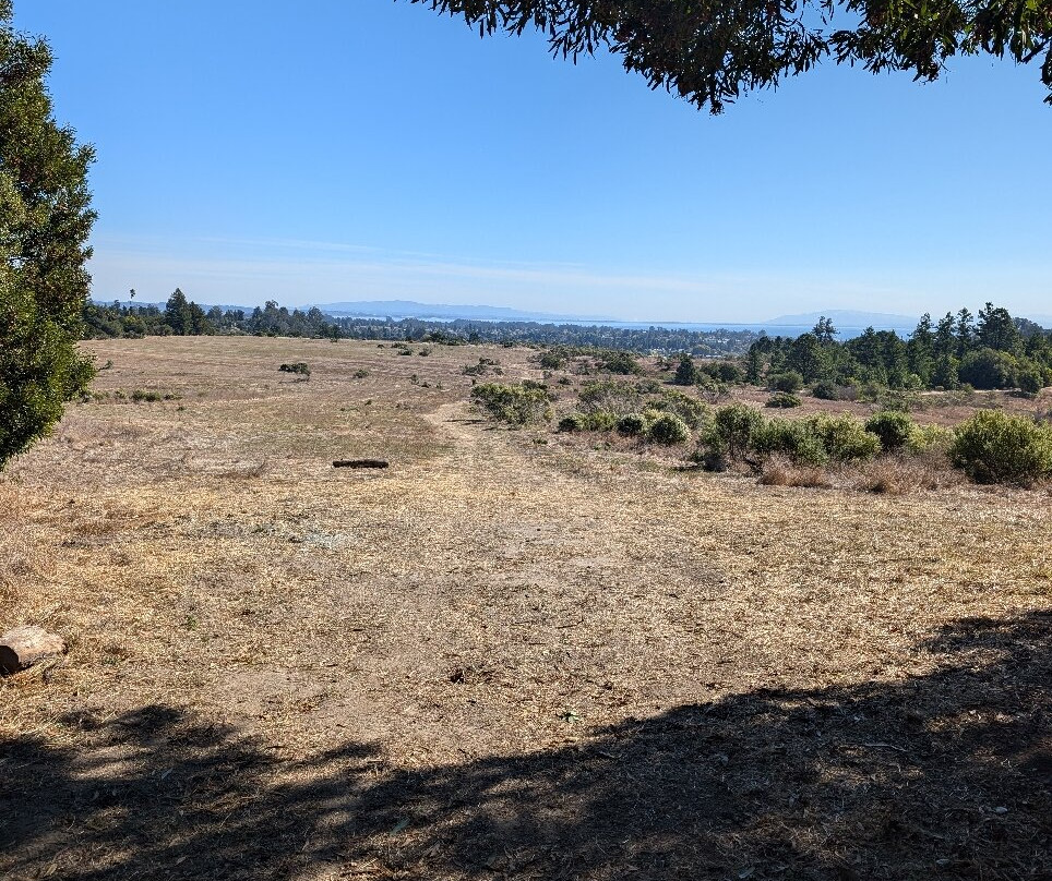 Pogonip-圣克鲁斯必去景点