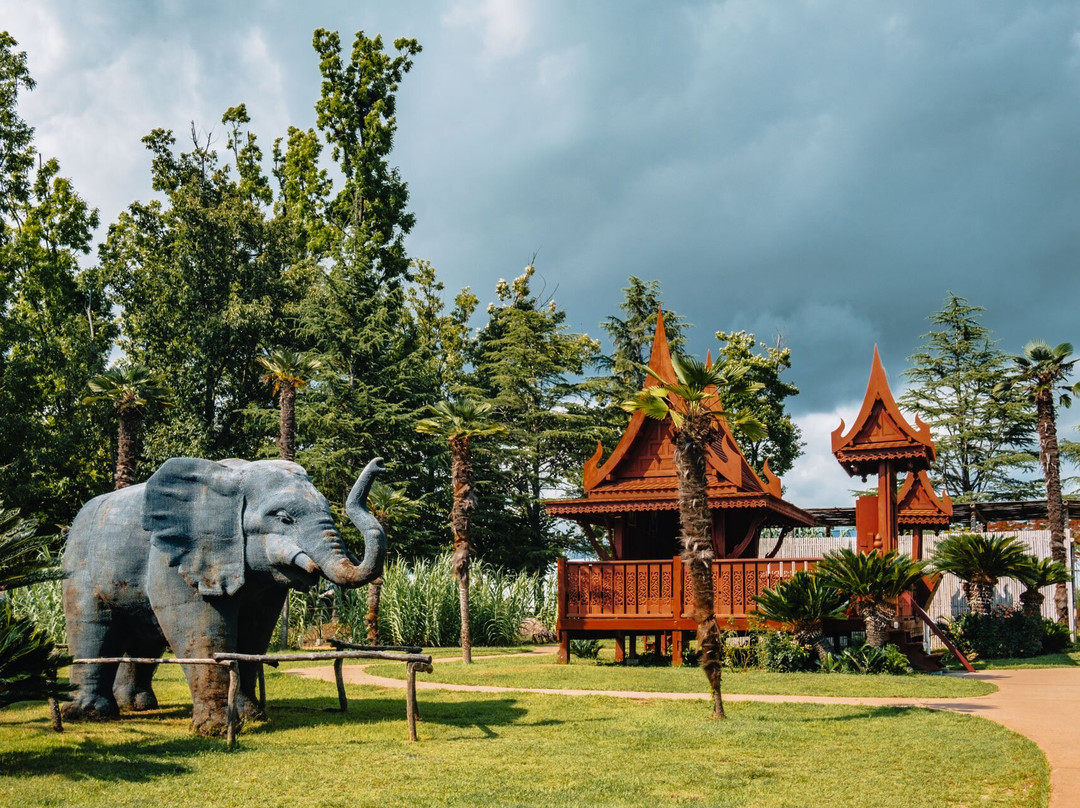 Suncheon Bay Garden-顺天市必去景点