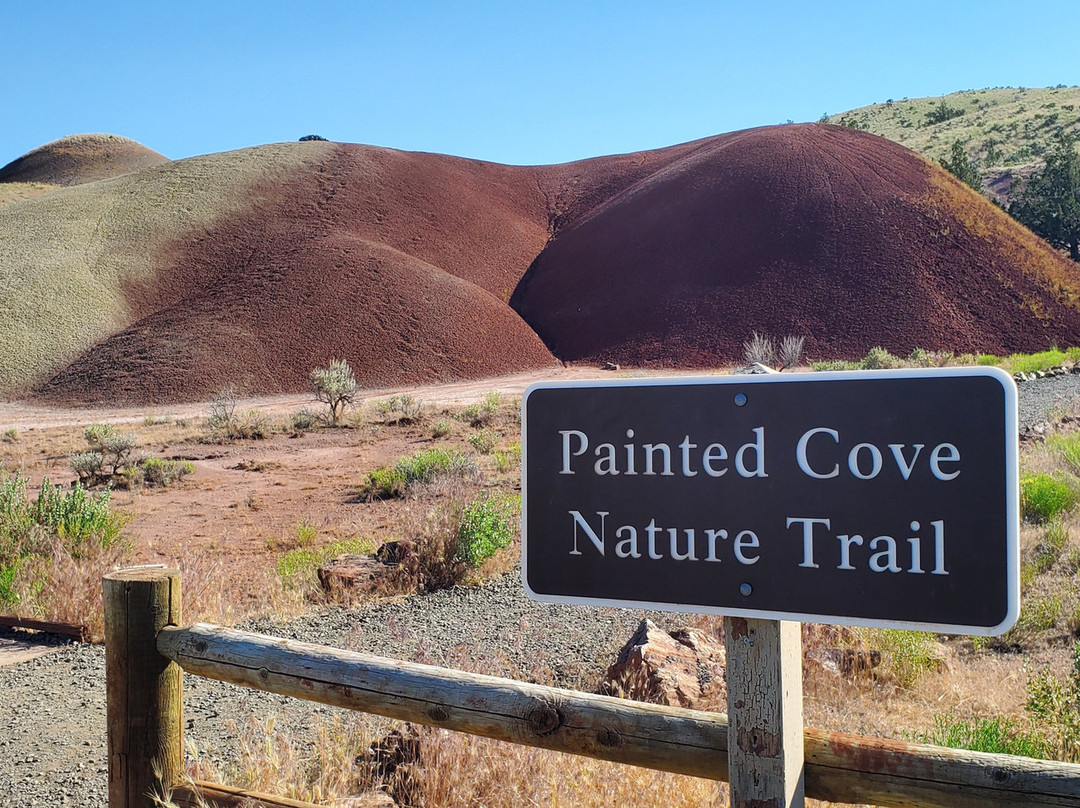John Day Fossil Beds National Monument, Painted Hills Unit景点图片