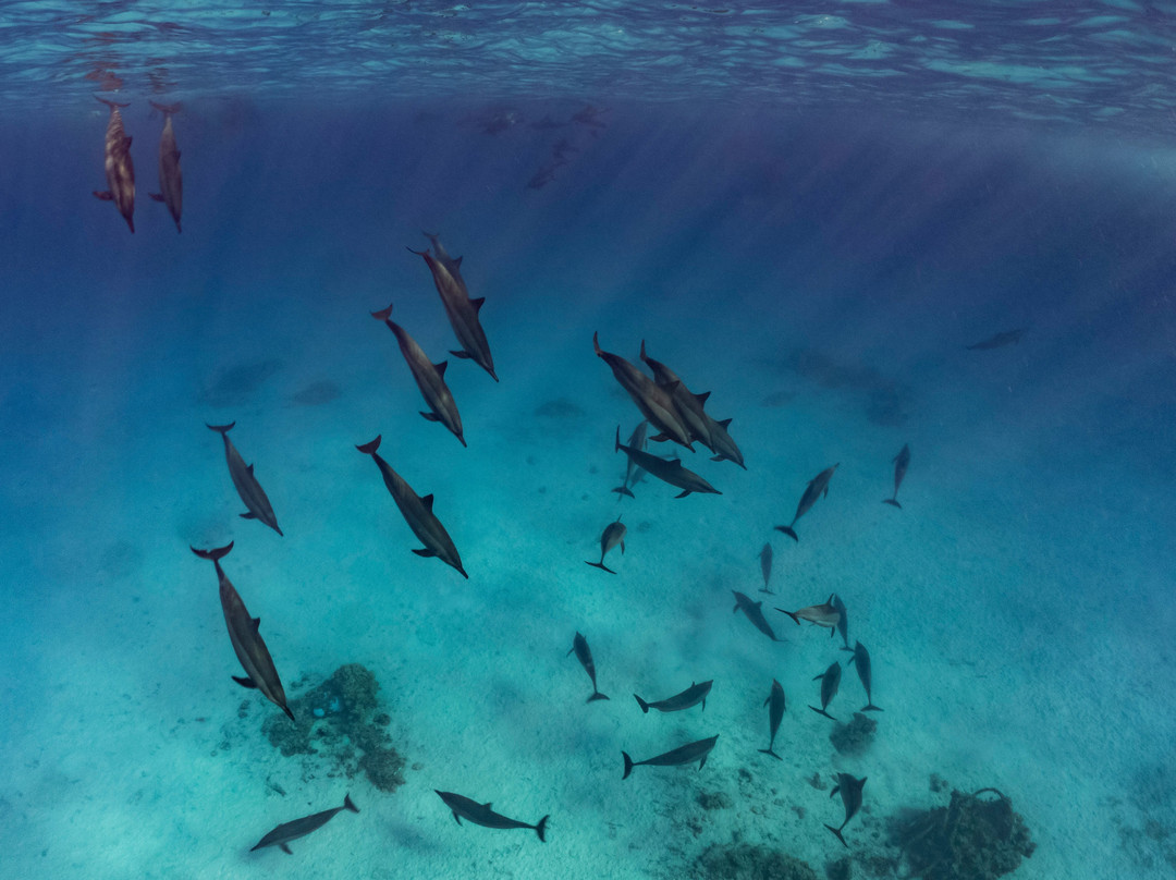 Wadi Lahami Diving Centre-Hamata and Berenice必去景点