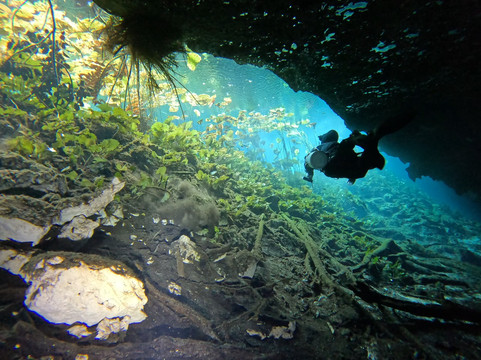 Flying Fish Tulum-图伦必去景点