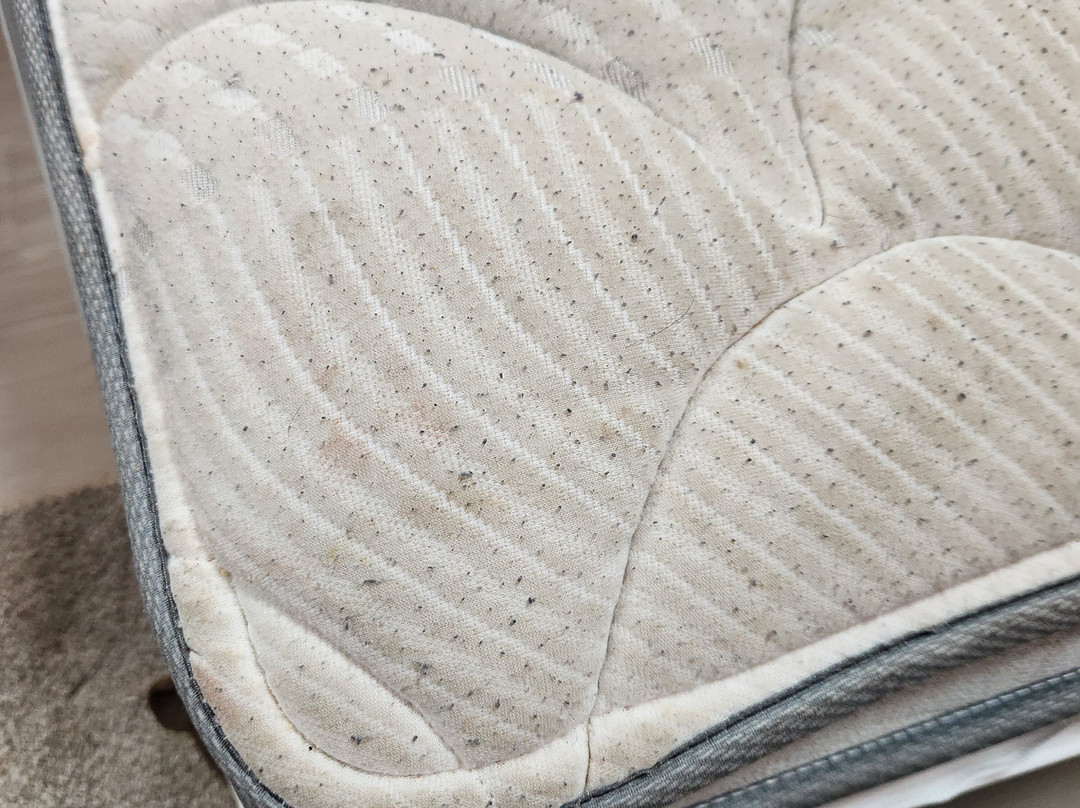 Suburban Studio主图