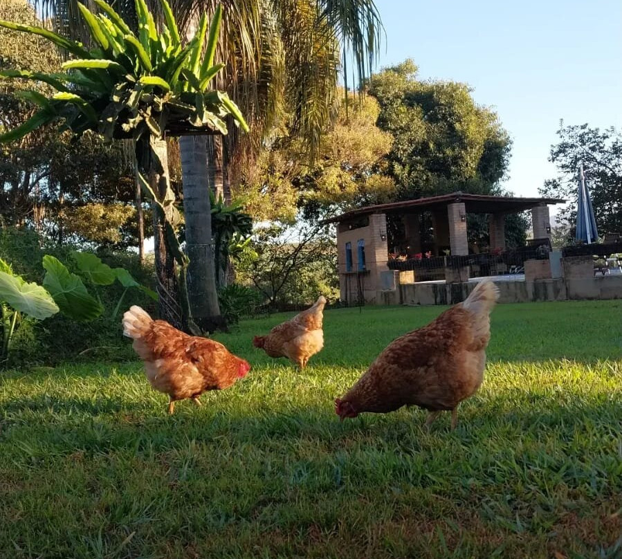 Pousada Fazenda Sao Pedro主图