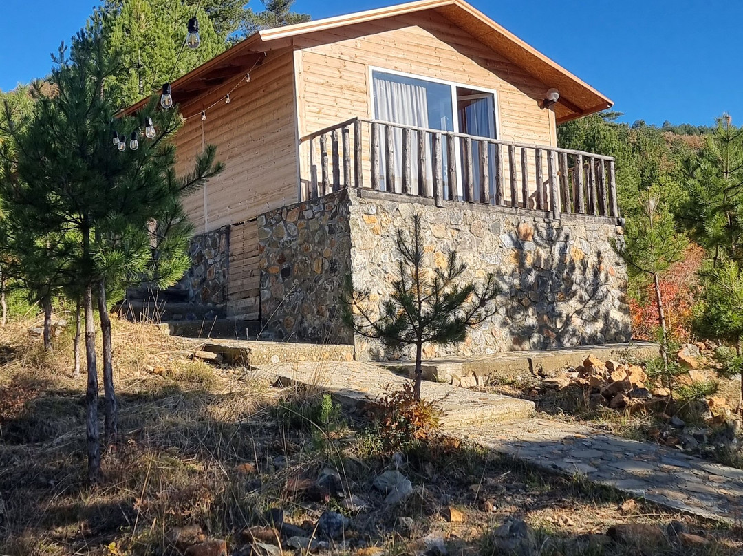 Bio Farm Gramsh主图