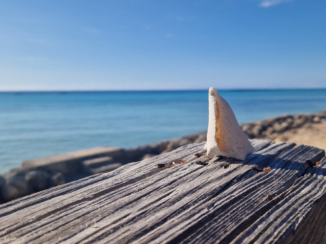 Paradise Cove-弗里波特必去景点