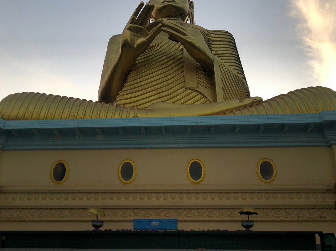 Vira Ceylon Tours & Travels景点图片