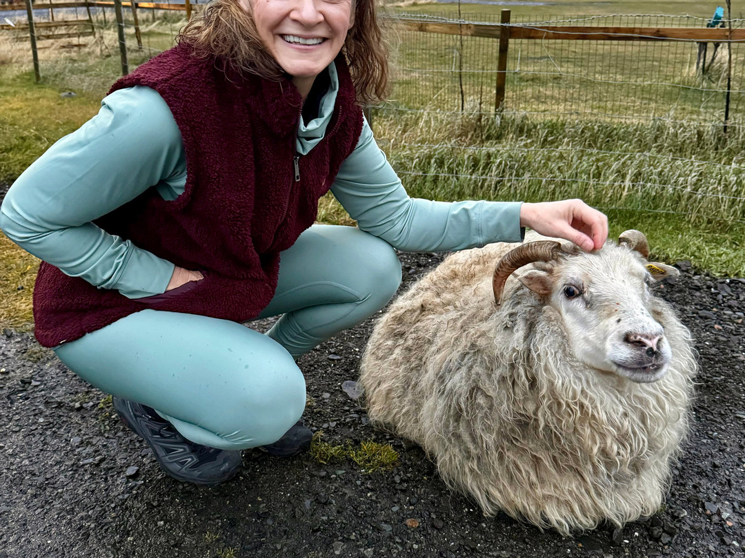 Bjarteyjarsandur-雷克雅未克必去景点